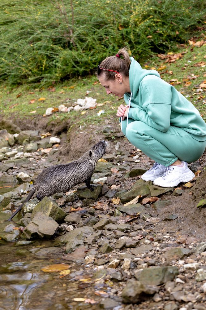 Photograph by Александр Вдовенко