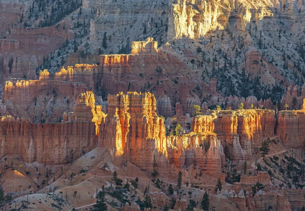 Photograph by Razvan Iliescu