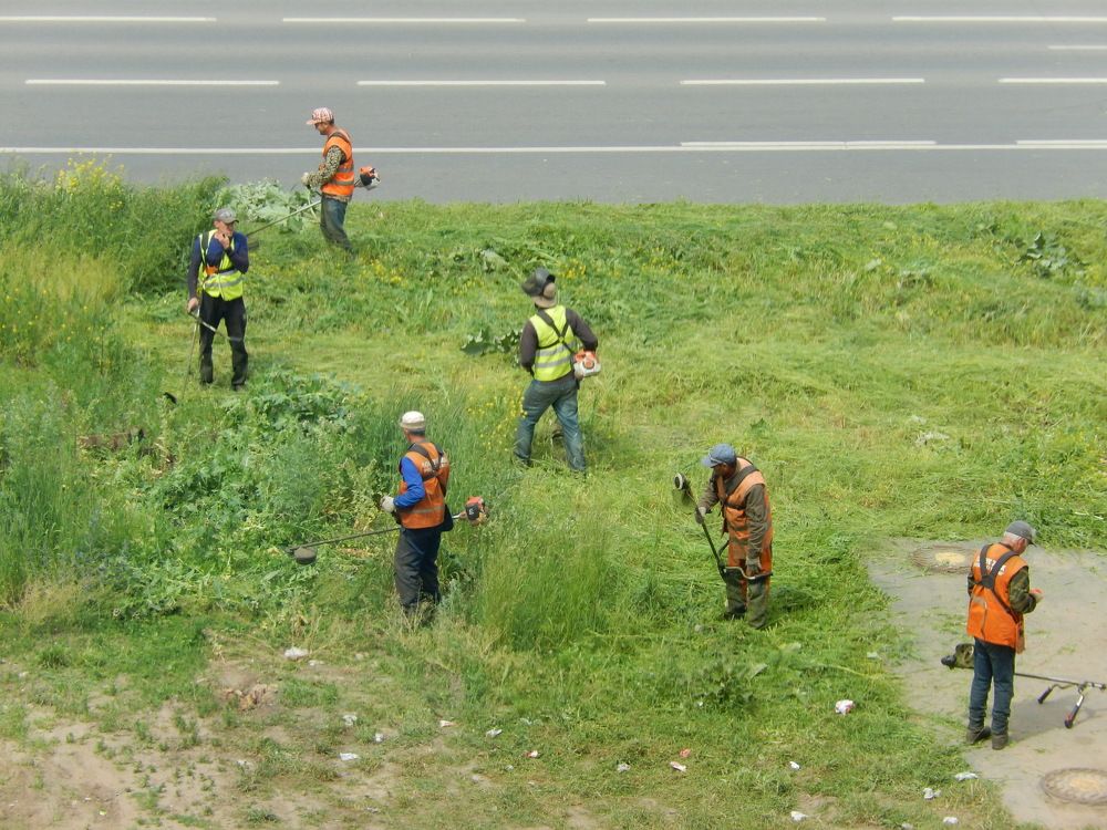 Фотография автора Клавдия Васильева