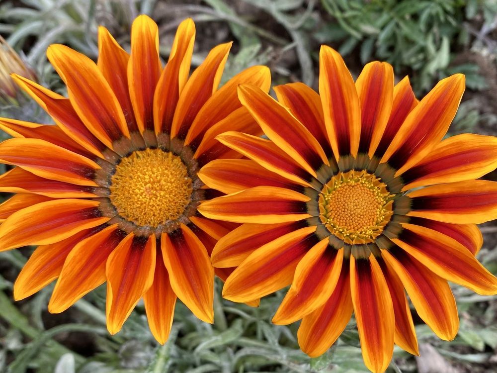 Photograph by Дарья Самойленко