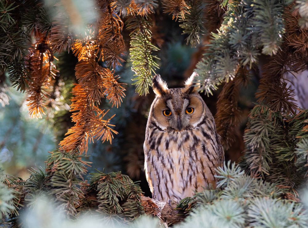 Photograph by Николай Абрамов