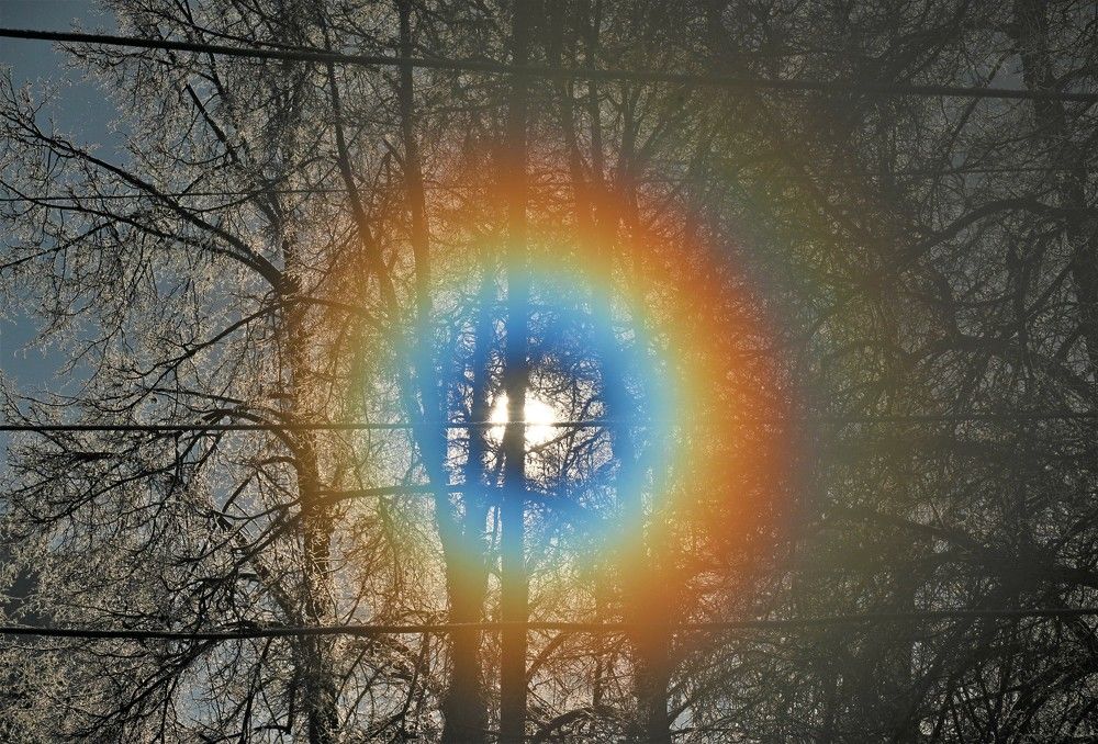 Photograph by Сергей Зубов