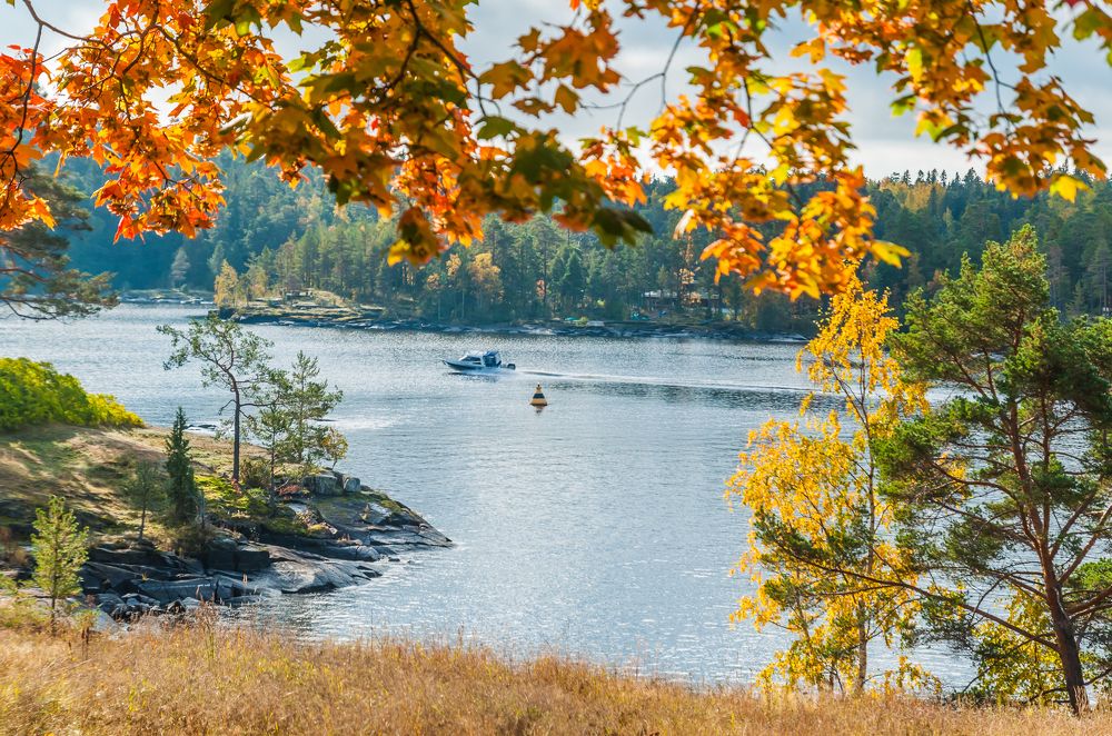 Фотография автора Олег Анатольевич Загорулько