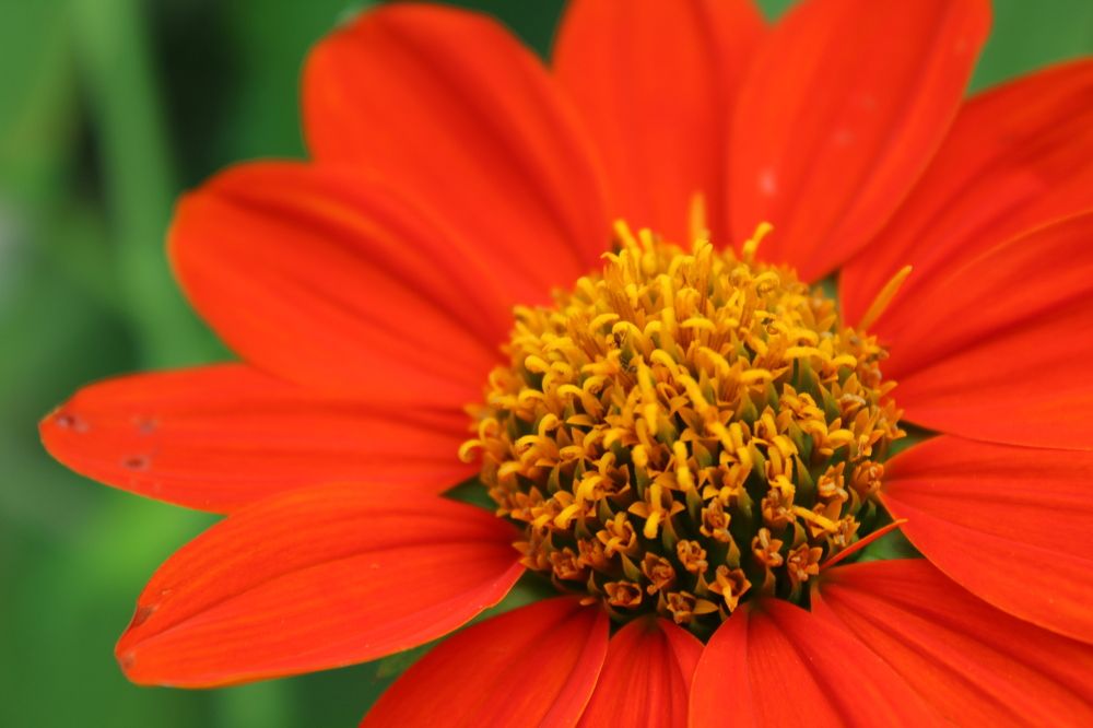 Фотография автора Hepzibah Guna Sakaran