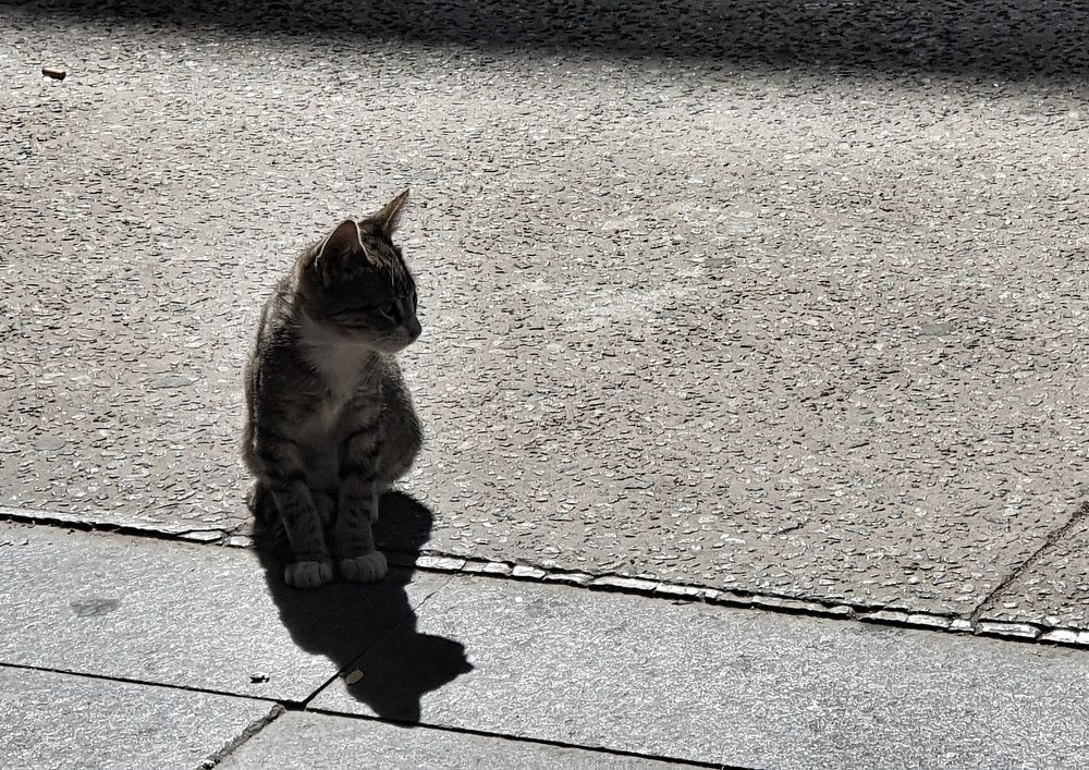 Photograph by Hicham Chraibi