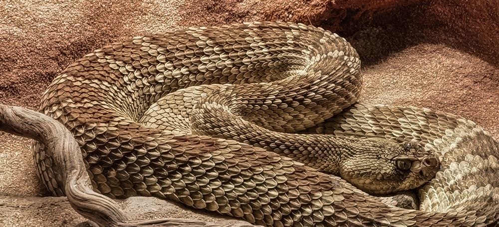 Фотография автора Алексей Головатый