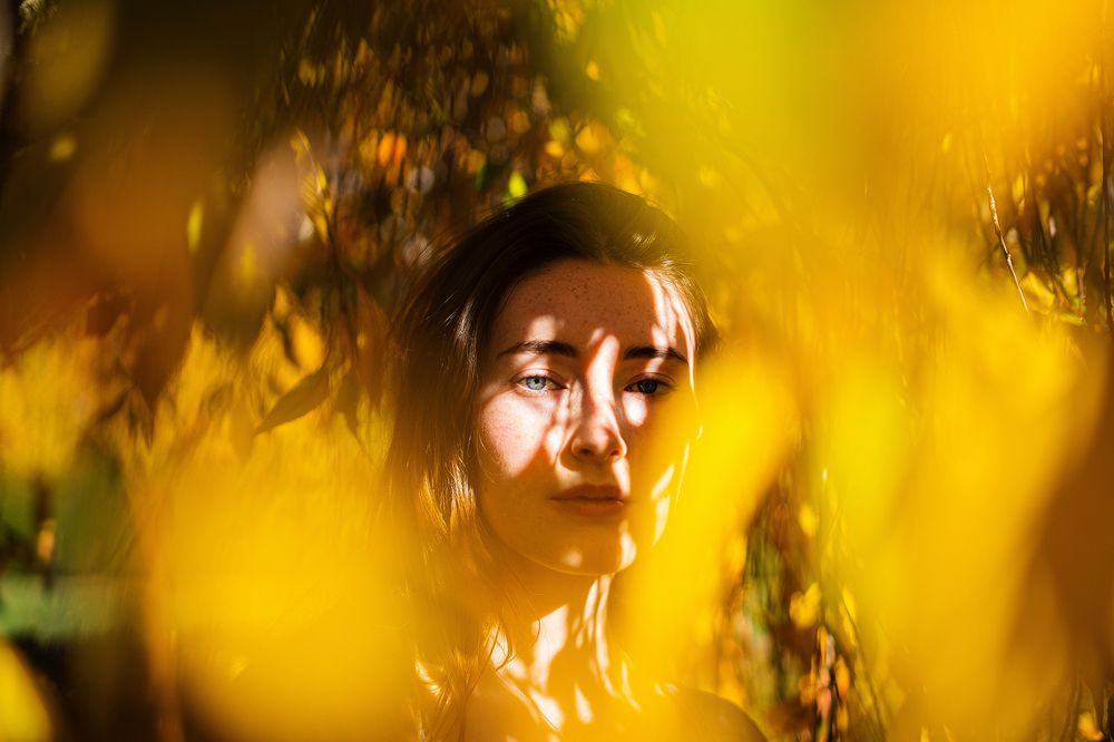 Photograph by Milton Sosa Mc Donald