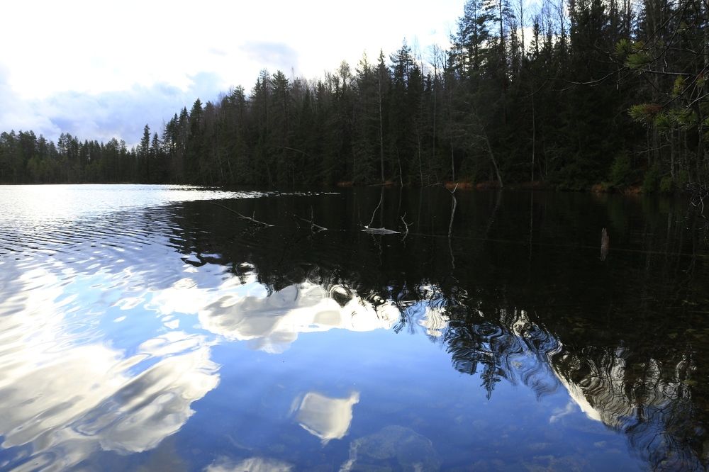 Photograph by Anna Grin