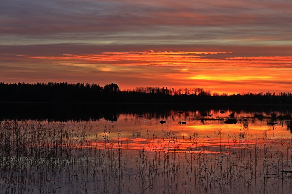 Photograph by Anna Grin