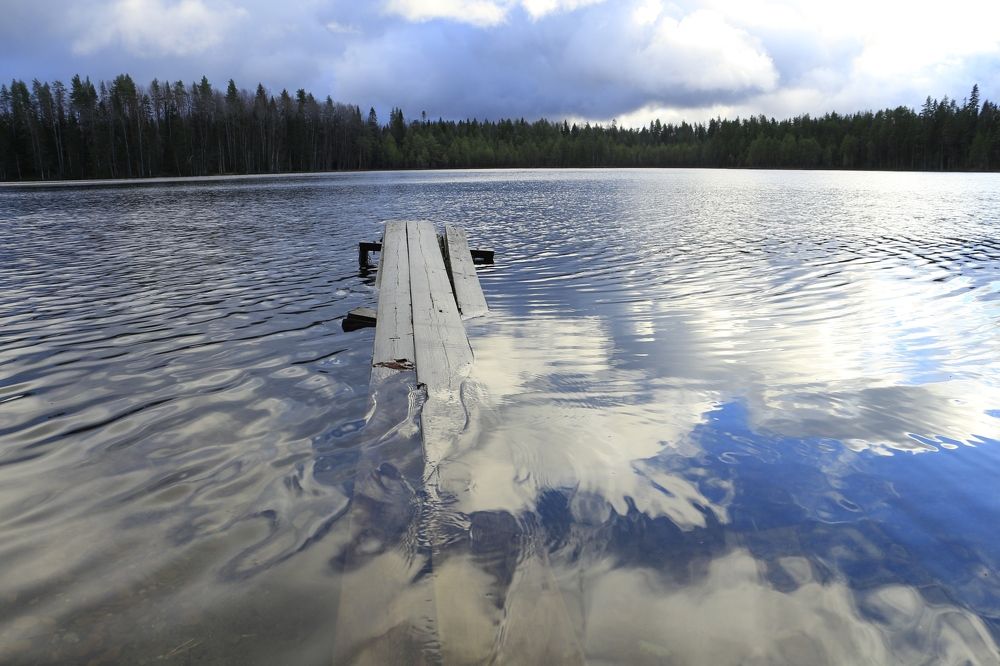 Photograph by Anna Grin