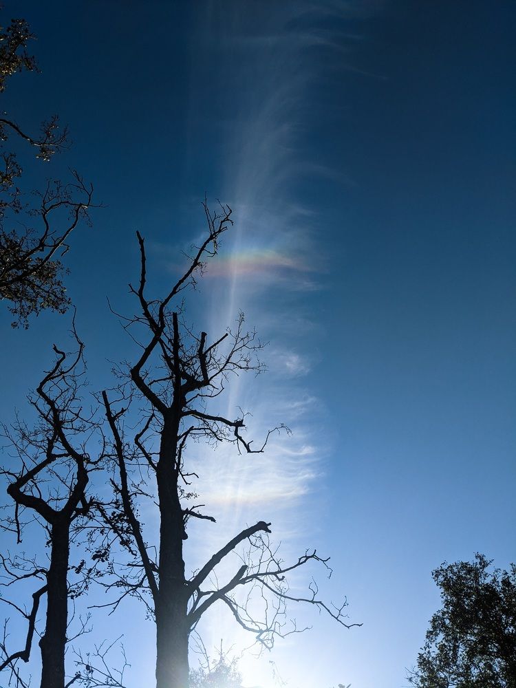 Фотография автора Ксения Шляйхер