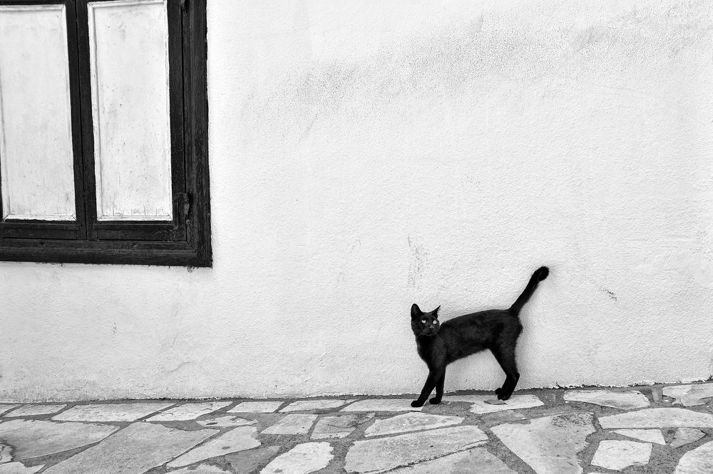 Photograph by Людмила Александровна