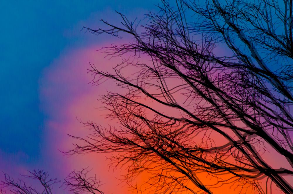 Photograph by Milton Sosa Mc Donald