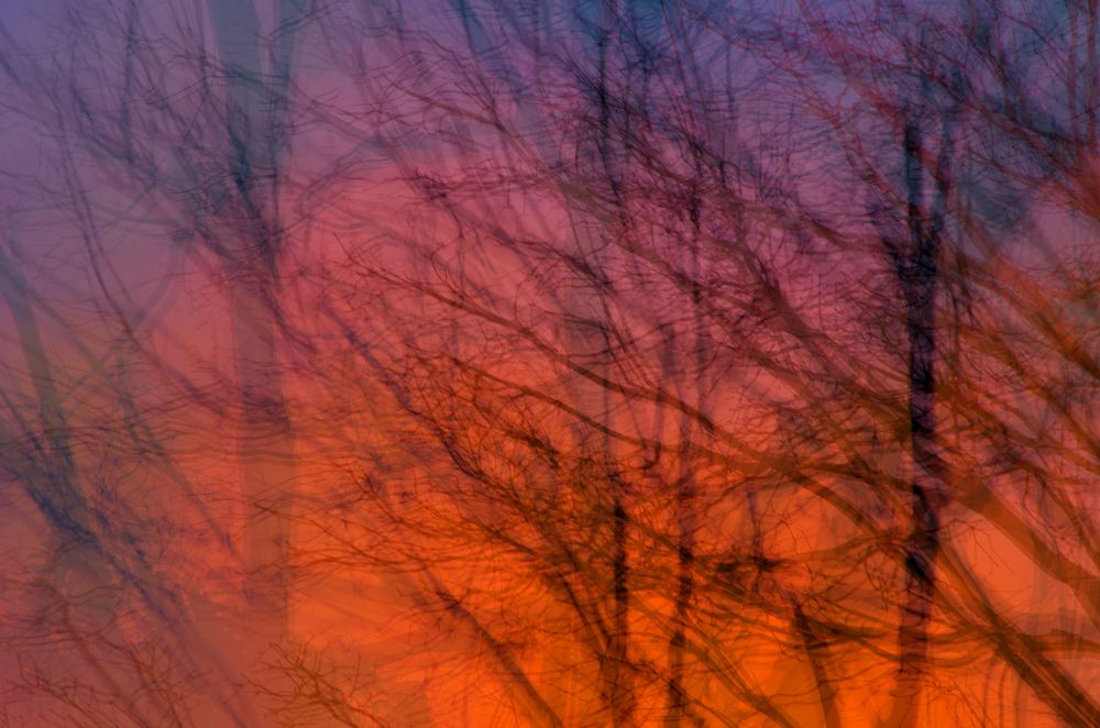 Photograph by Milton Sosa Mc Donald