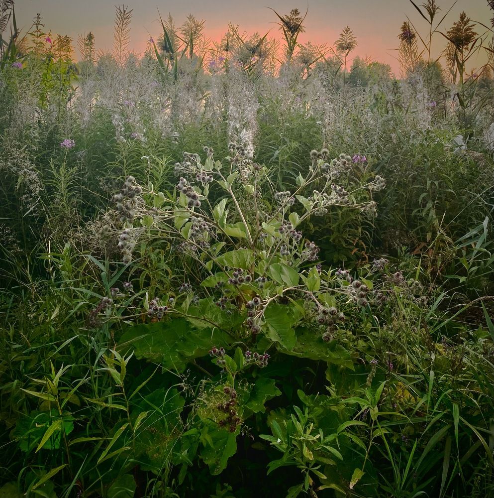Photograph by Мария Вершинина