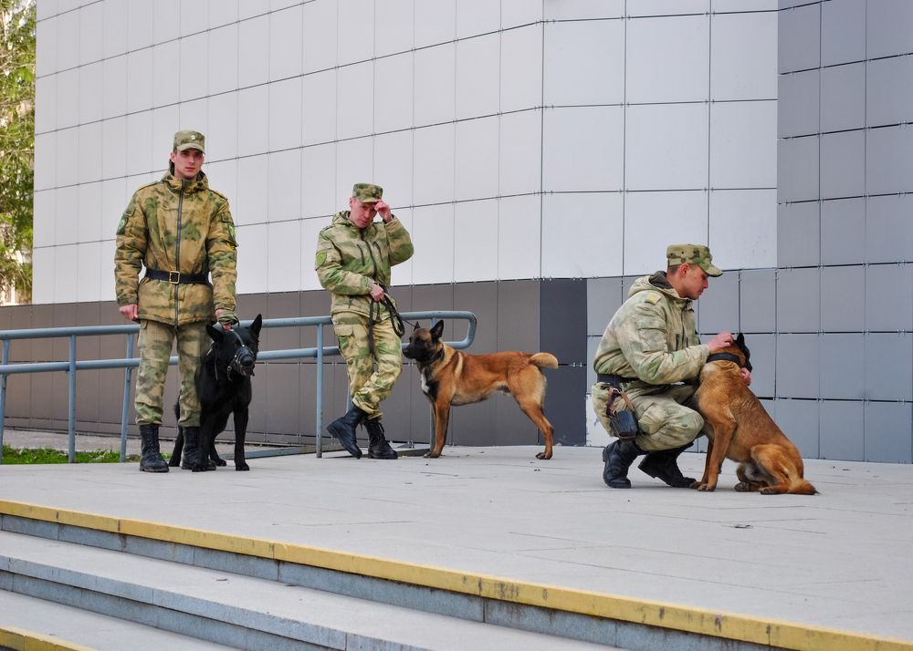 Photograph by Любовь Бусова