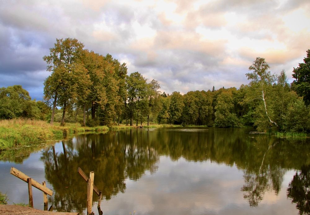 Photograph by Светлана Богомолова