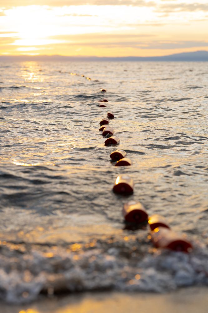 Фотография автора Замира Савинова