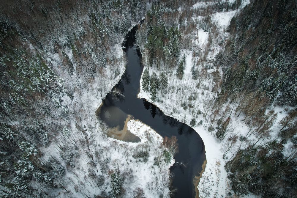 Photograph by Andrey Purtov