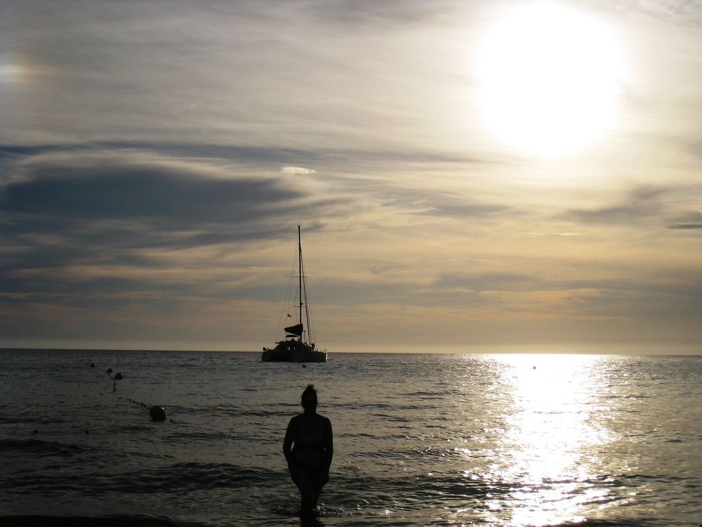 Photo #8405106