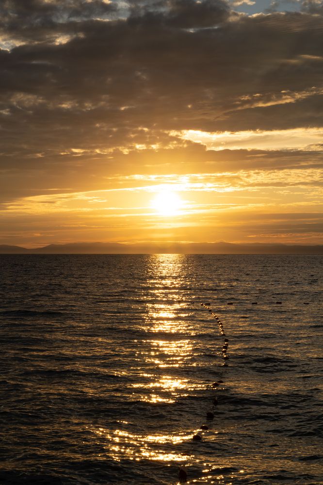 Фотография автора Замира Савинова