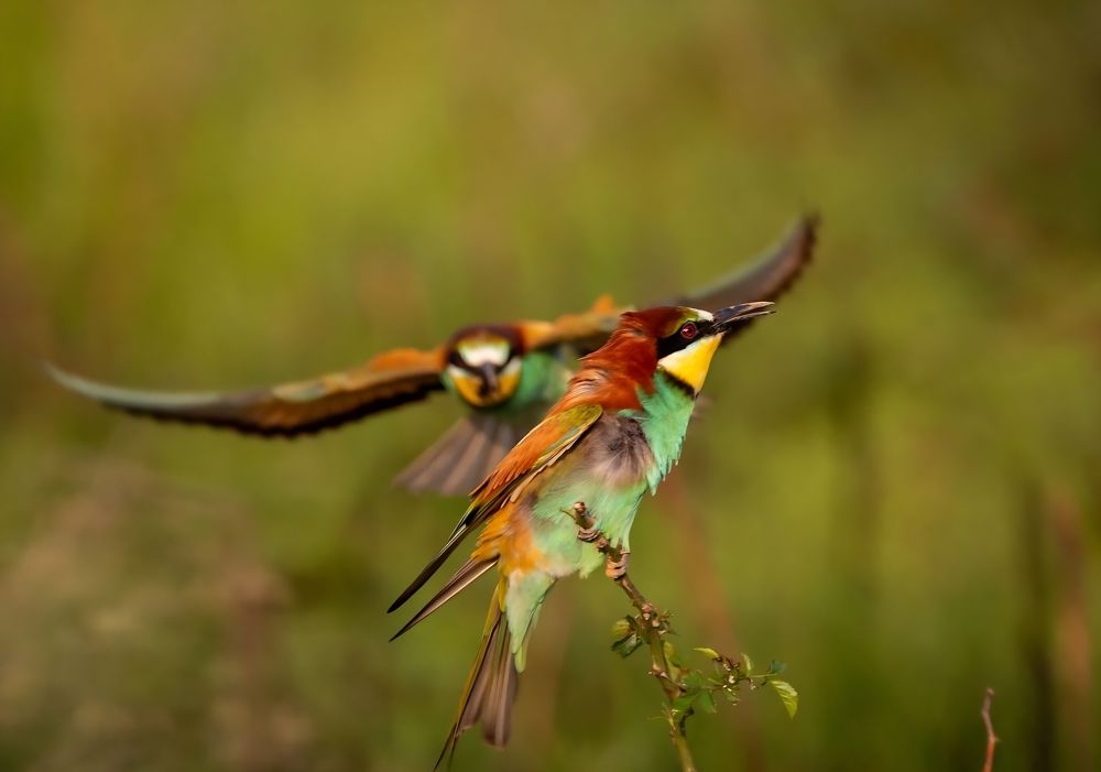 Photograph by George Alexandru Ghiuro