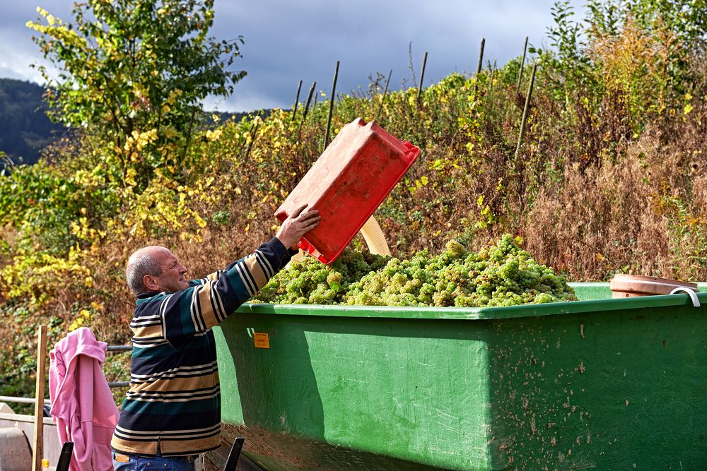 Photograph by Валерий