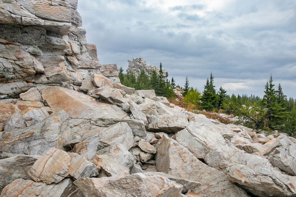 Photograph by Алексей Середенин