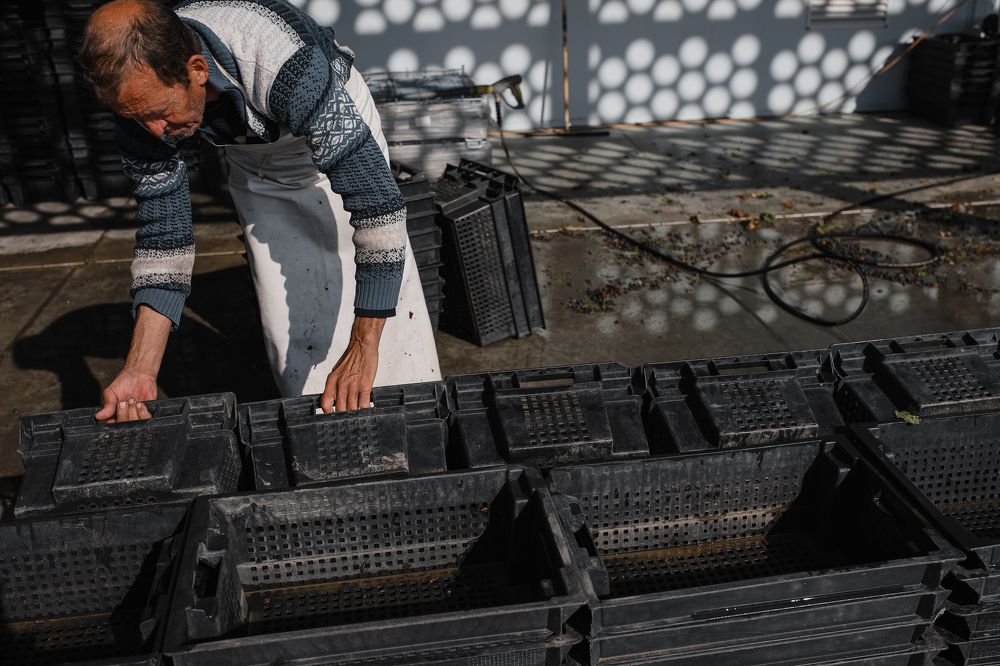 Photograph by Мария Макарова