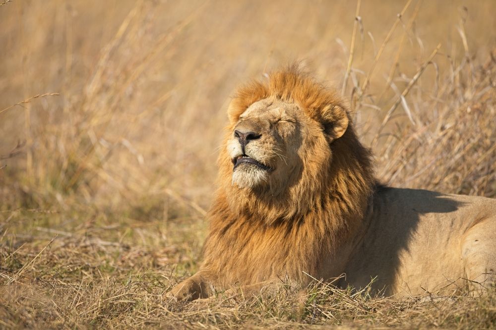 Photograph by Игорь Щербаков