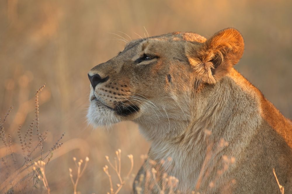 Photograph by Игорь Щербаков