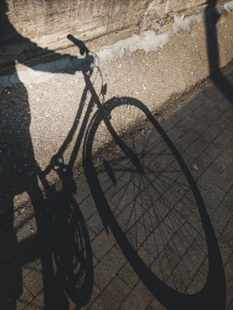 Фотография автора Ксения Шляйхер