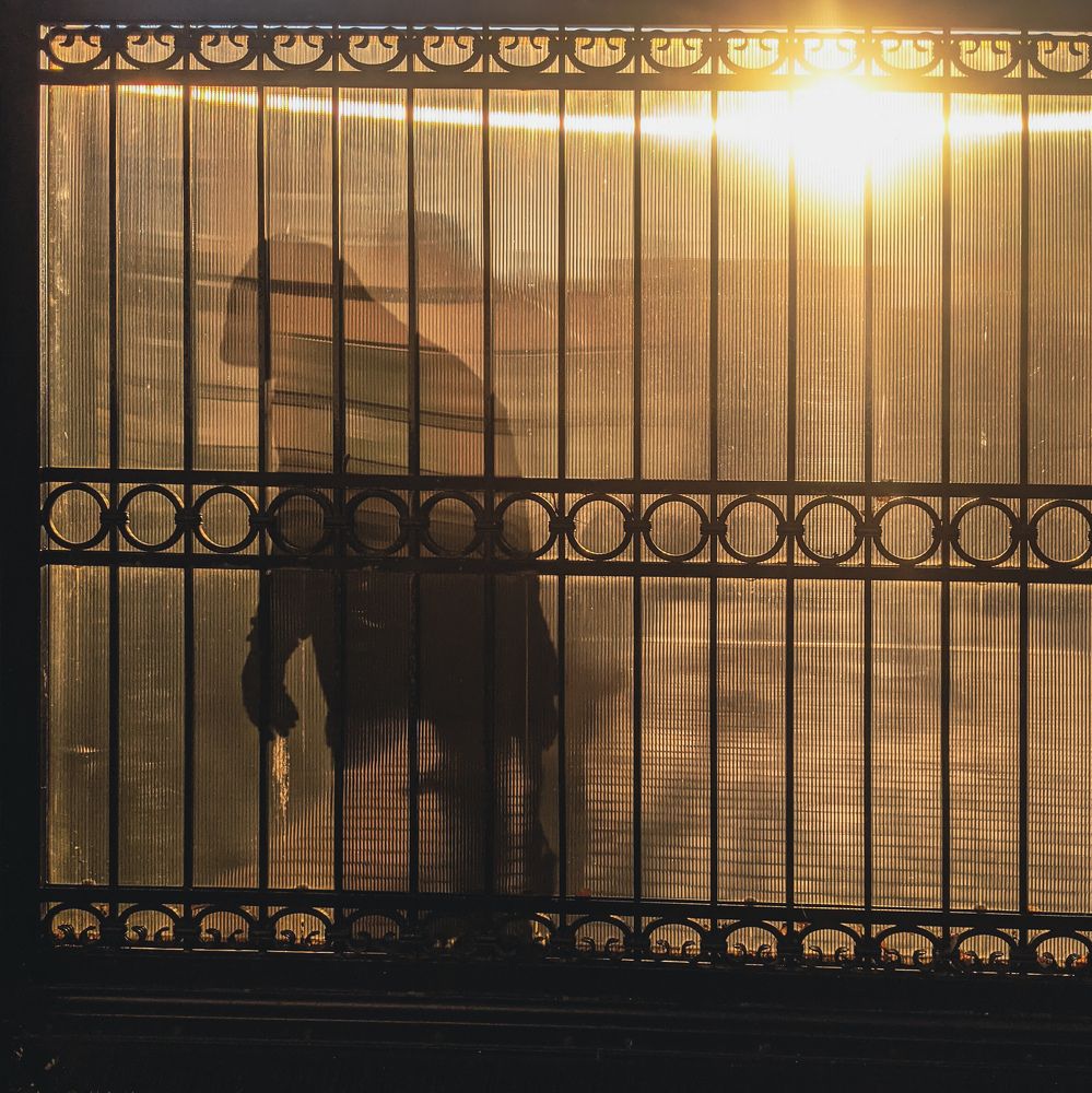 Фотография автора Ксения Шляйхер