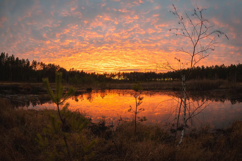 Яркое завершение дня