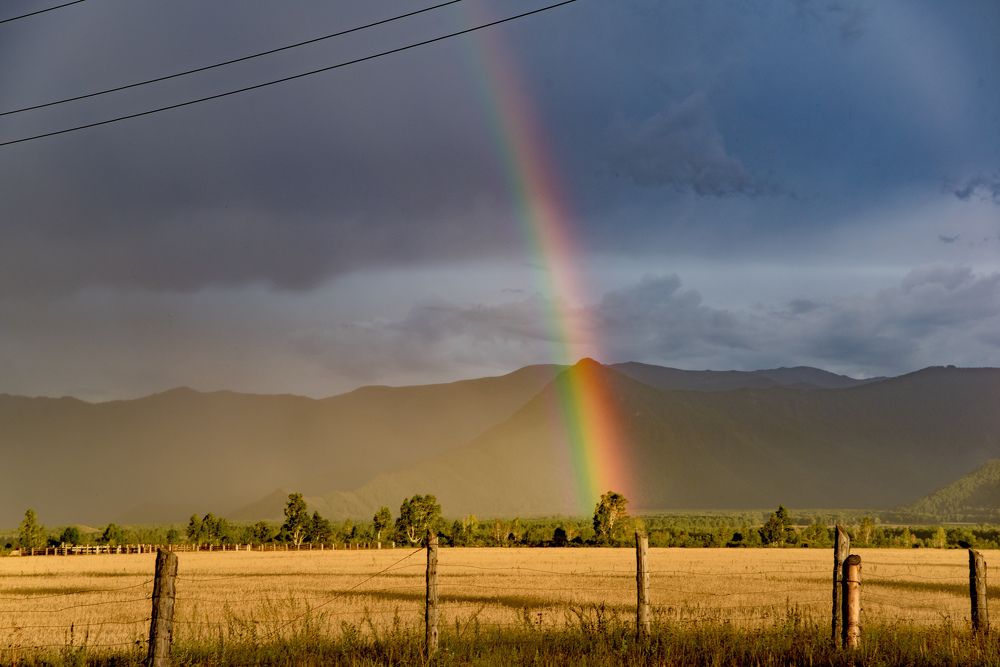 Photograph by Артём Самусенко