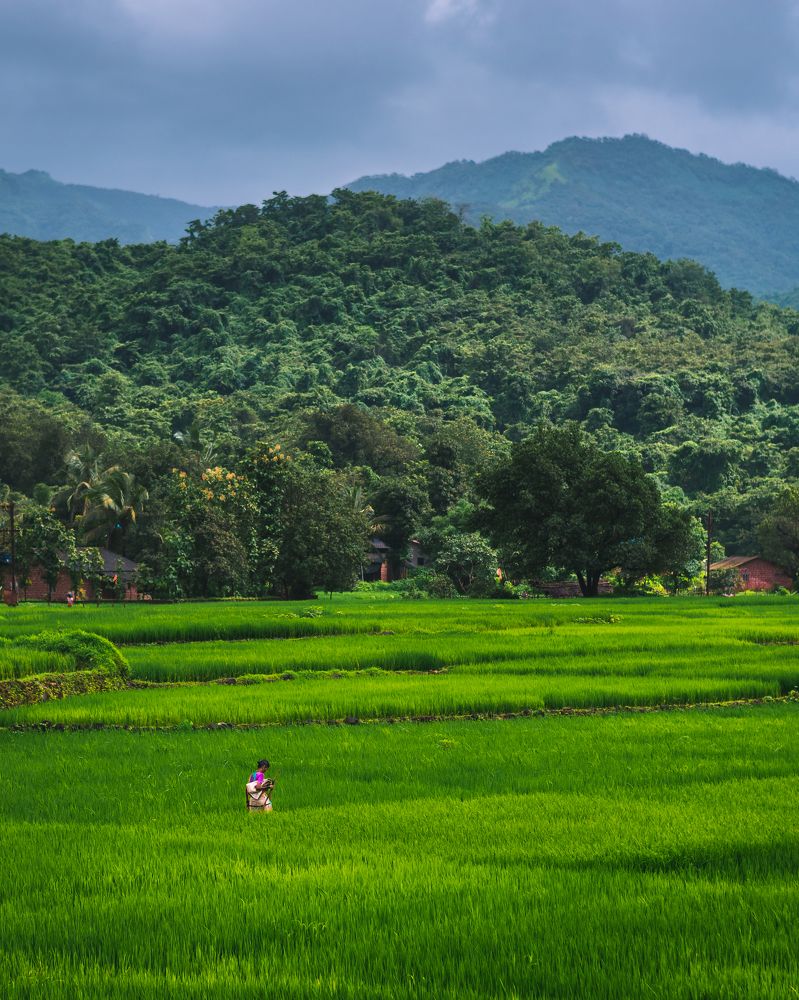 Photograph by Abhijeet Sawant