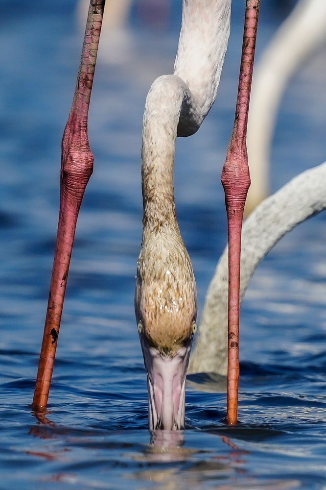 Фотография автора Jian Ma