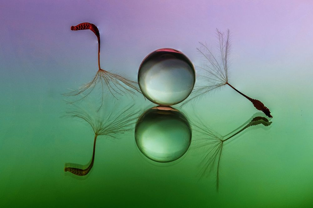 Photograph by António Manuel de Pereira