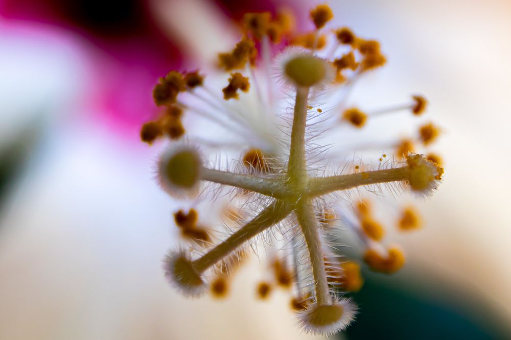 Photograph by Aleksander Goldshtein