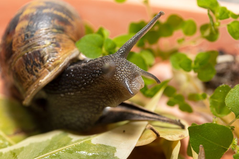 Photograph by Aleksander Goldshtein