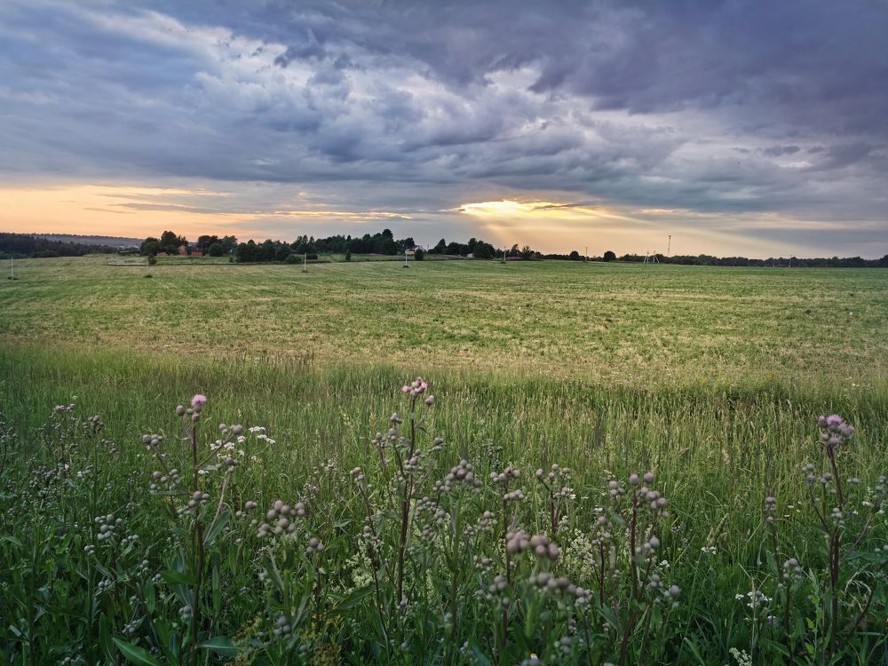 Photograph by Наталия Моргунова