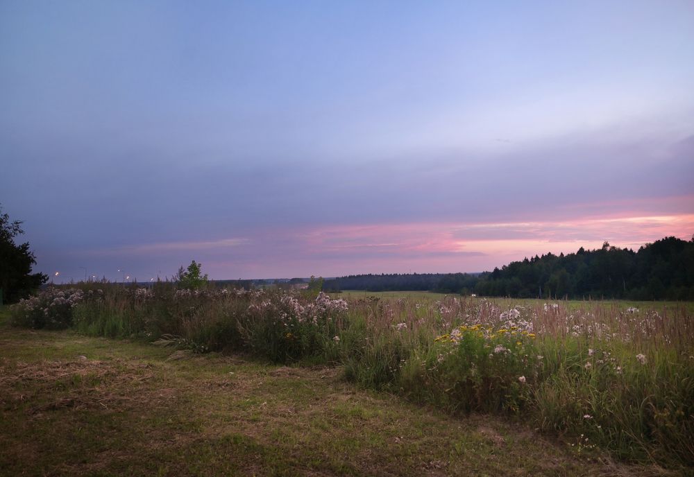 Вечер в поле