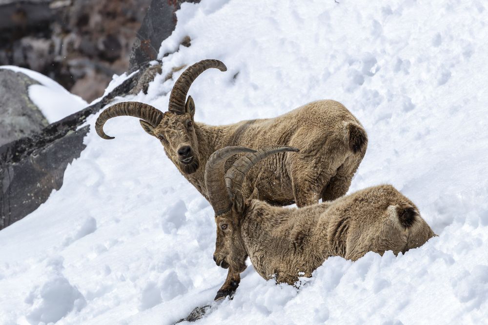 Photograph by Константин Кукушкин