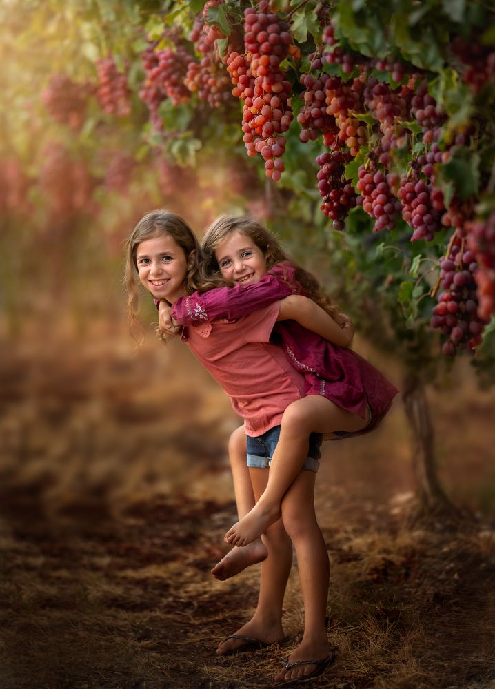 Photograph by Hamutal Avioz