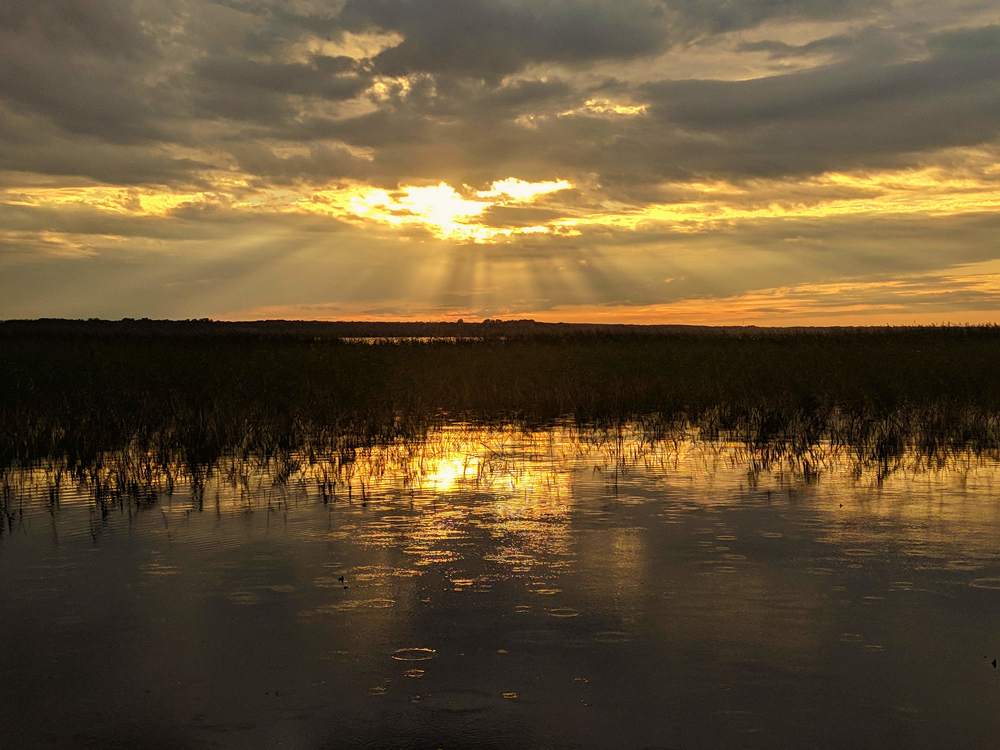 Фотография автора Олеся