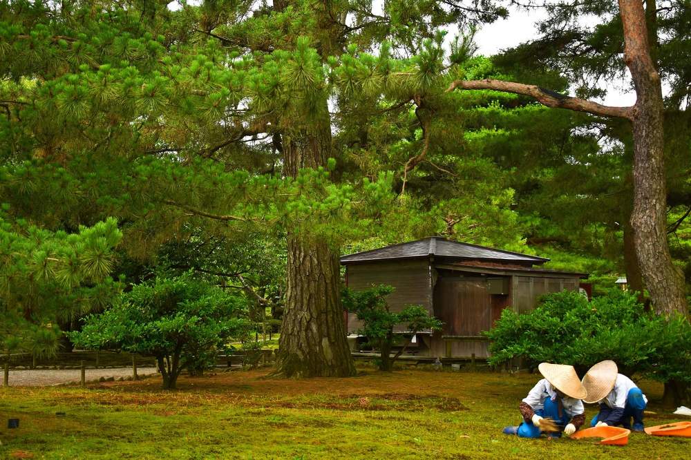 Фотография автора Sen Abhijit