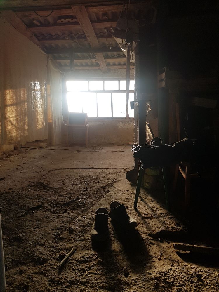 Photograph by Григорий Гуцол