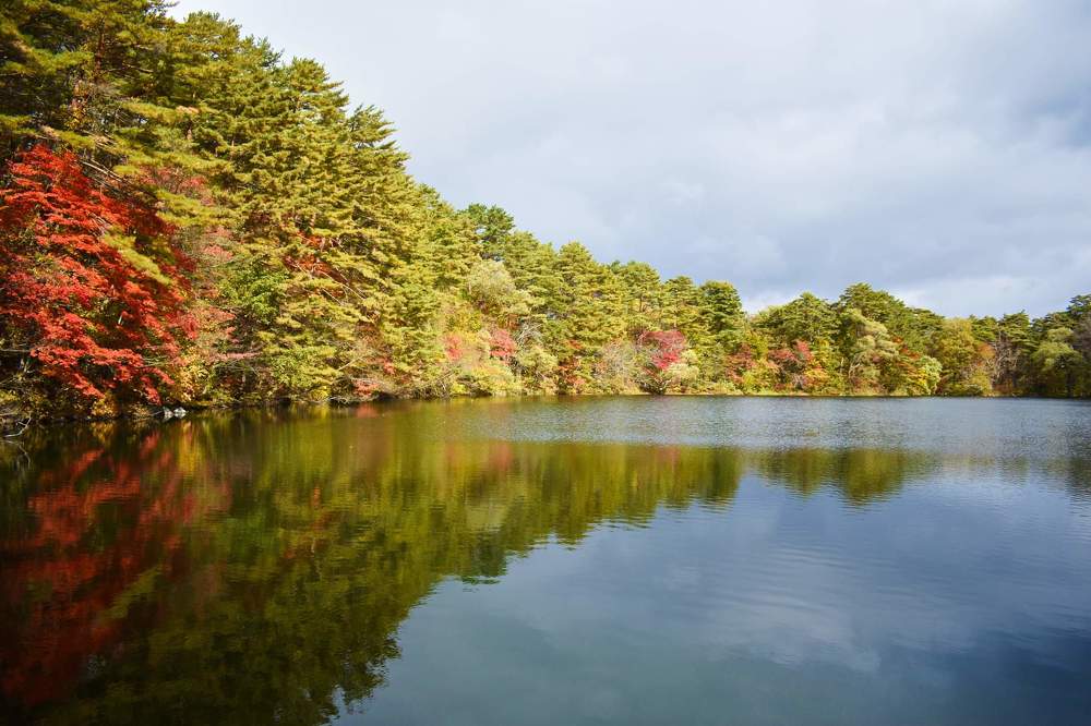 Фотография автора Sen Abhijit