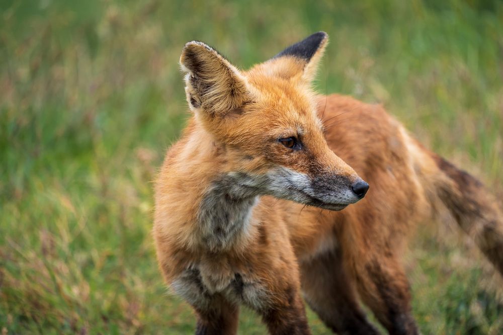 Photograph by Greg Noakes