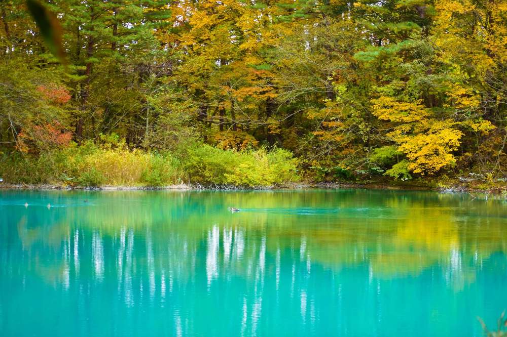 Фотография автора Sen Abhijit